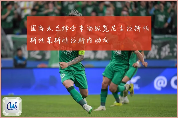 国际米兰转会市场纵览尼古拉斯帕斯帕莱斯特拉科内动向