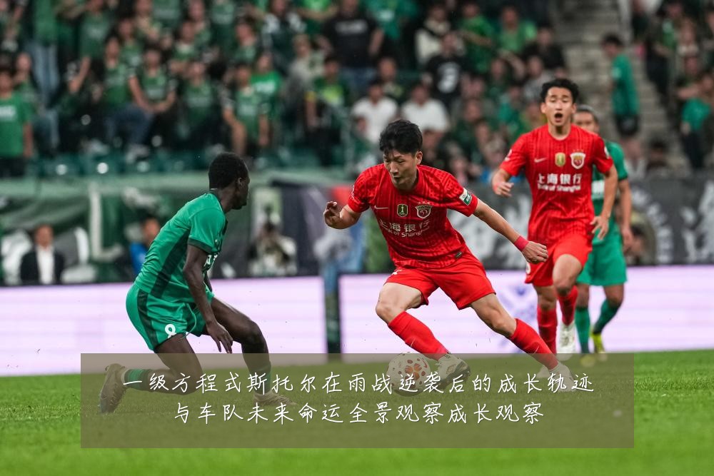 一级方程式斯托尔在雨战逆袭后的成长轨迹与车队未来命运全景观察成长观察